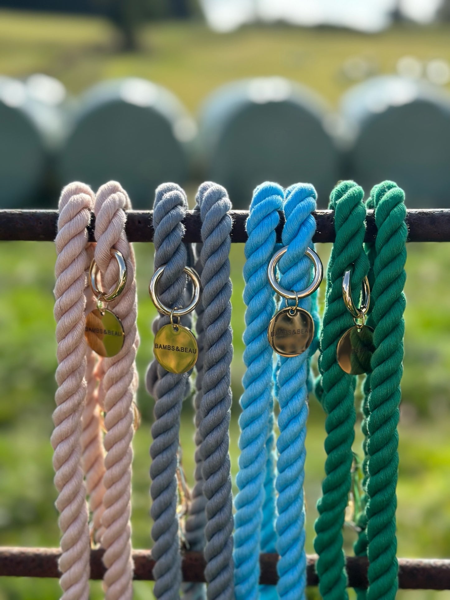 Ultimate Green Dog Walking Bundle