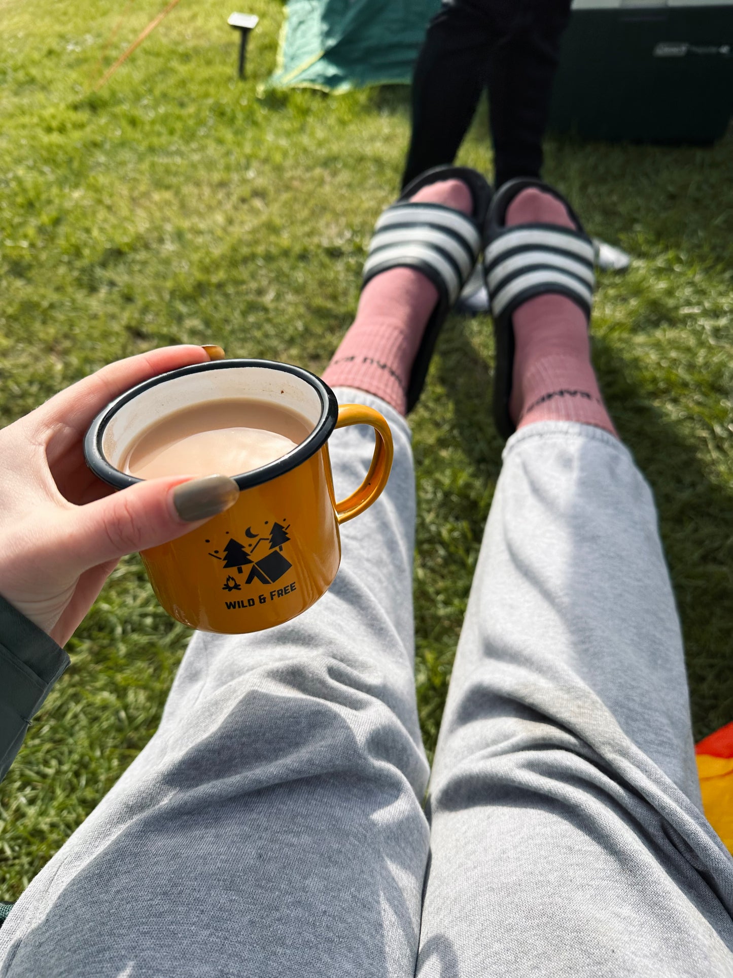 Lilac & Black Socks