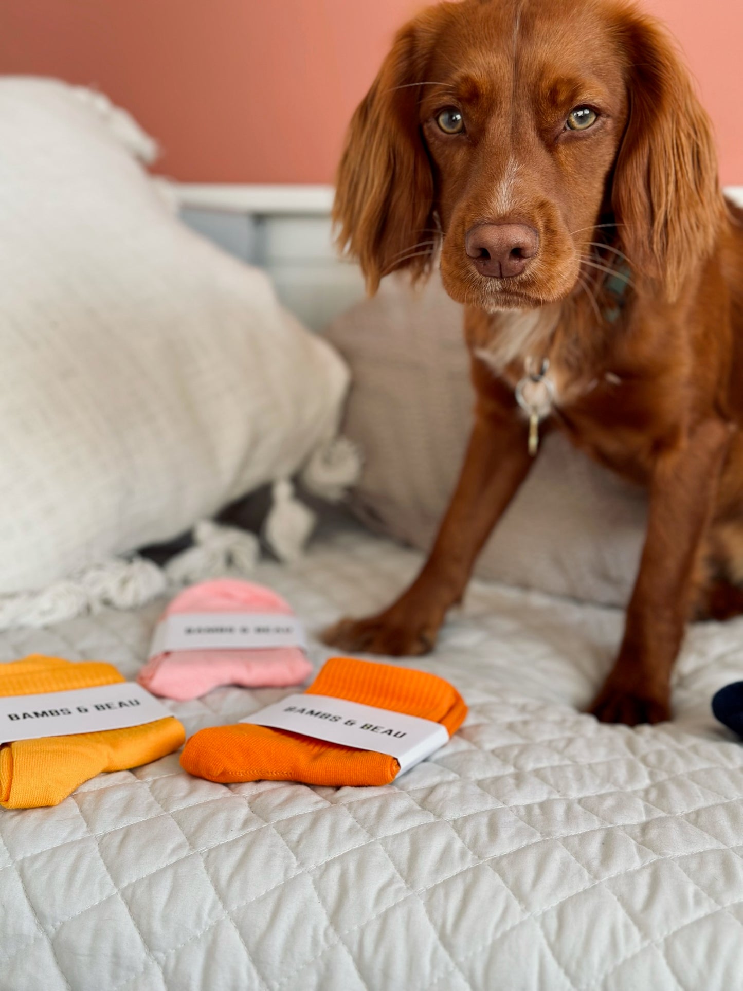 5 Pack of Socks
