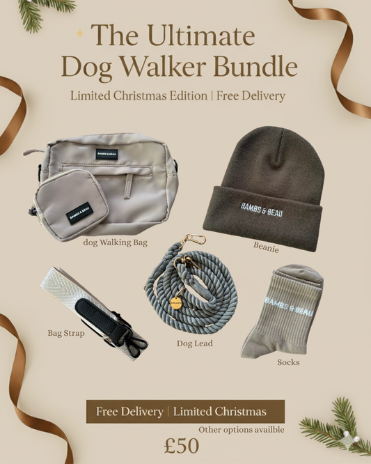 The Ultimate Winter Walk Upgrade: Introducing the Limited Edition Dog Walking Bundle