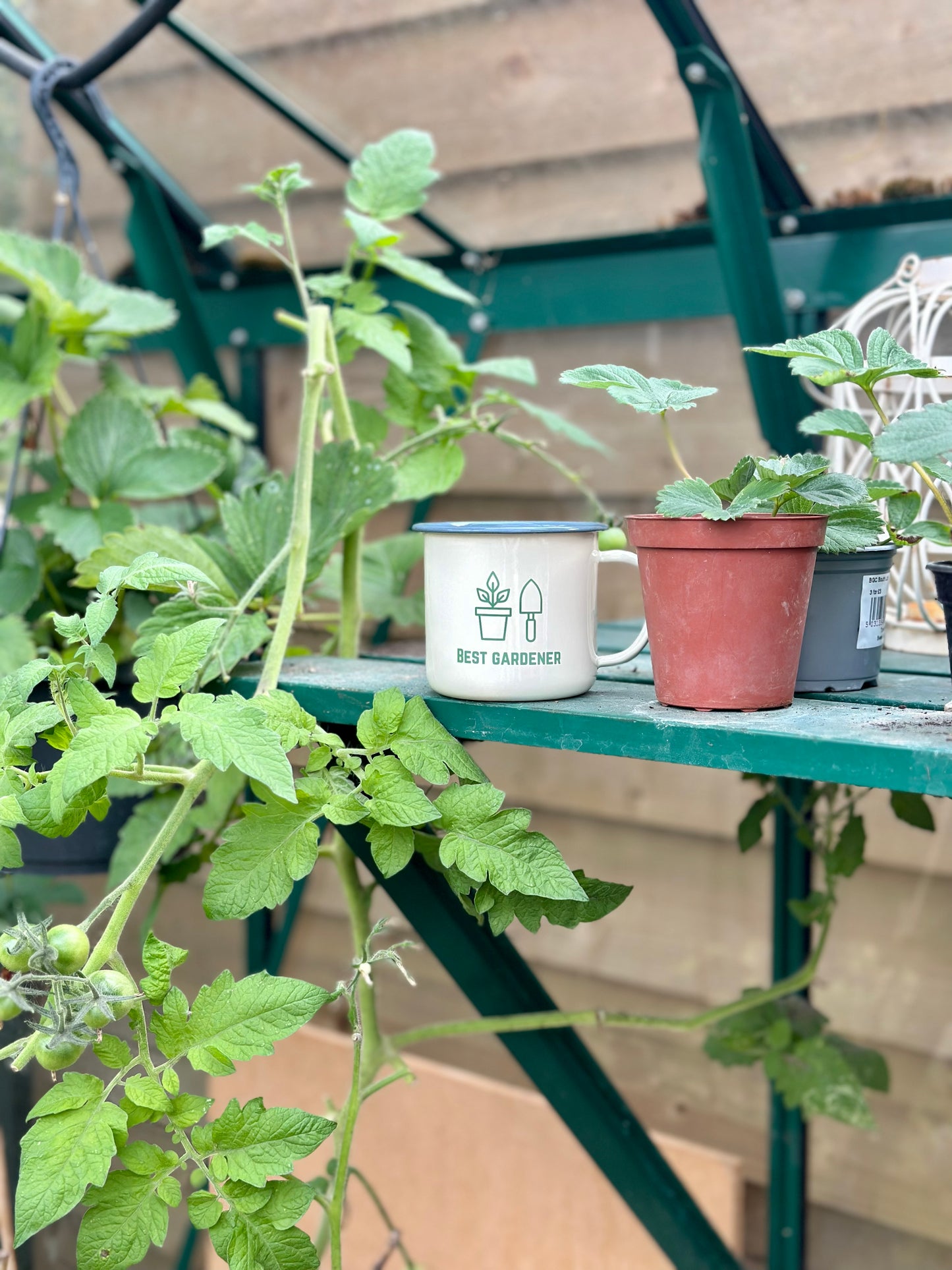 Best Gardener Mug