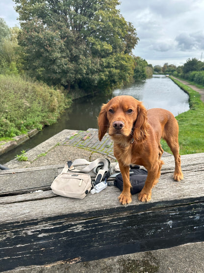 Cream Dog Walking Bag
