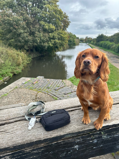 Black Dog Walking Bag
