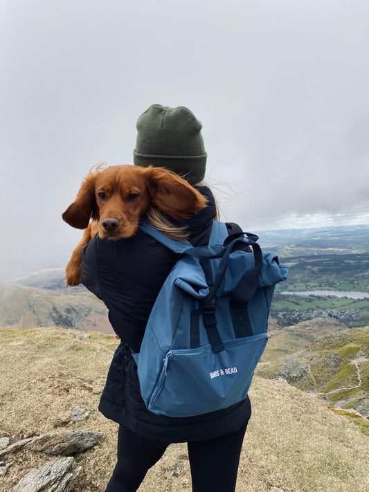 Blue Backpack